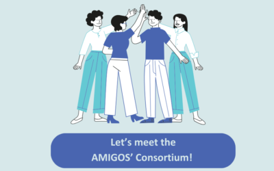 Who is behind the AMIGOS project?