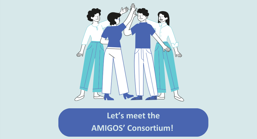 Who is behind the AMIGOS project?
